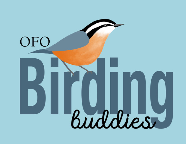 Two OFO birders out in the field together