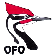 OFO logo